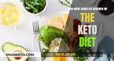 Carbs on Keto: How Much is Too Much?