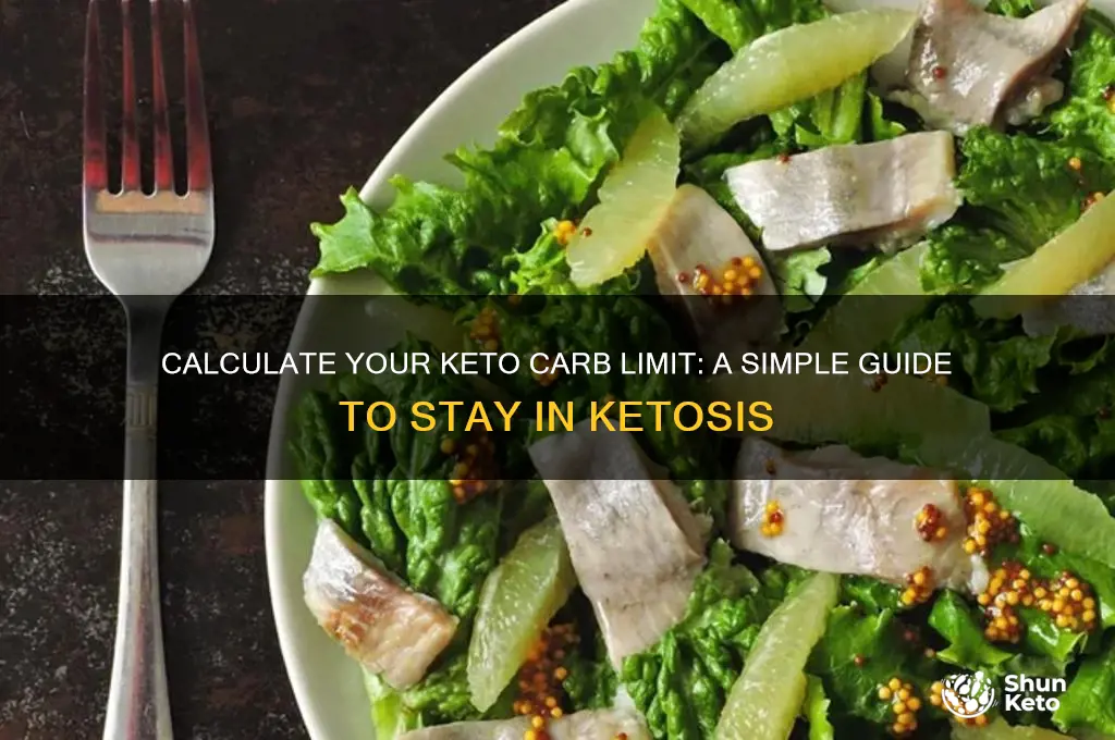 how many carbs can i eat on keto calculator