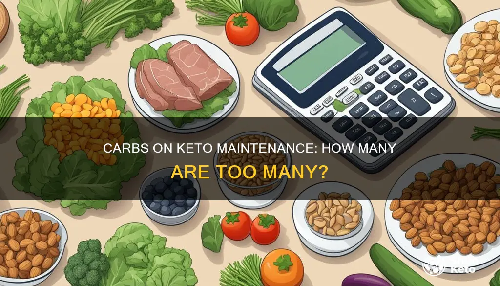 how many carbs can you have on keto maintenance