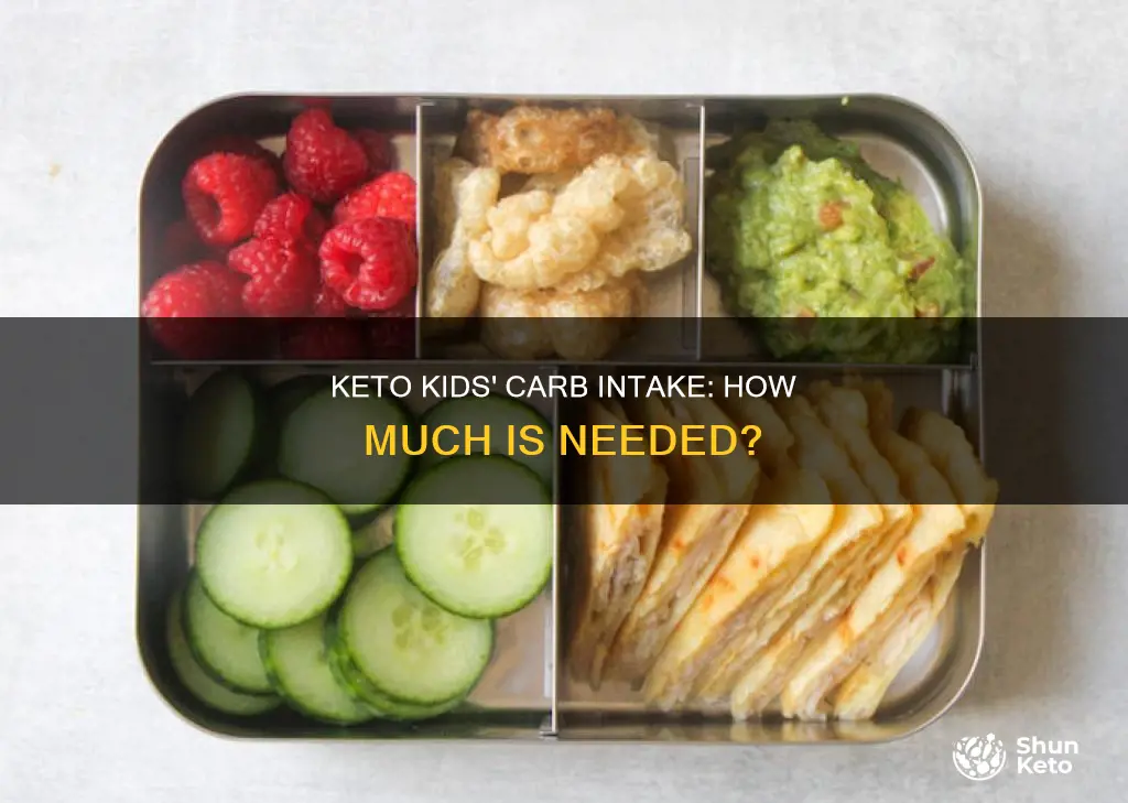 how many carbs do kids need on keto