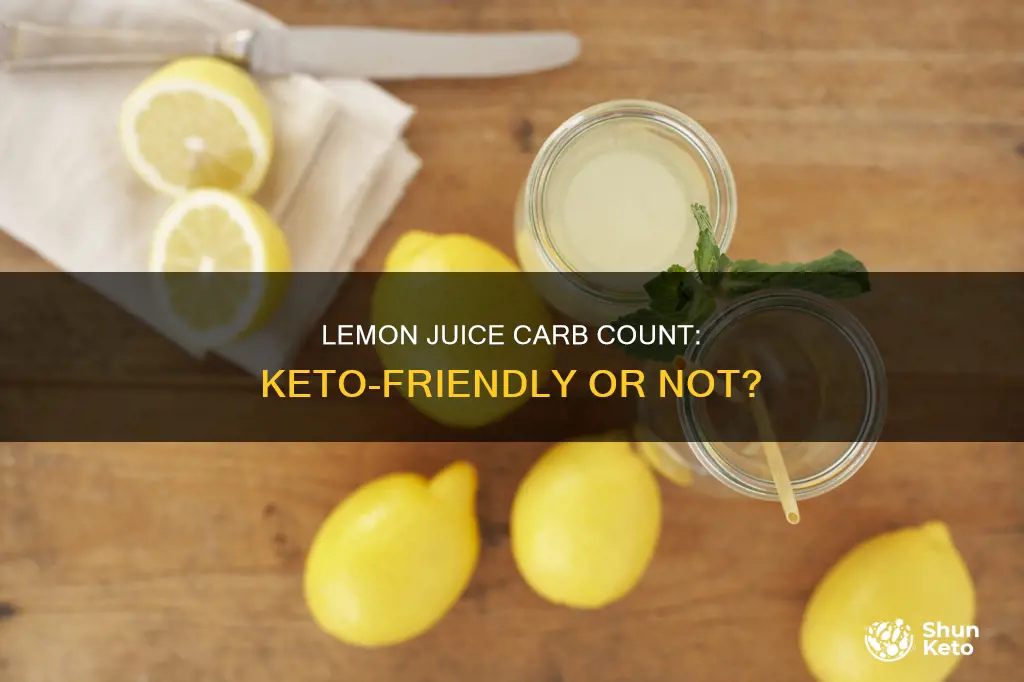 how many carbs does concentrated lemon juice have keto