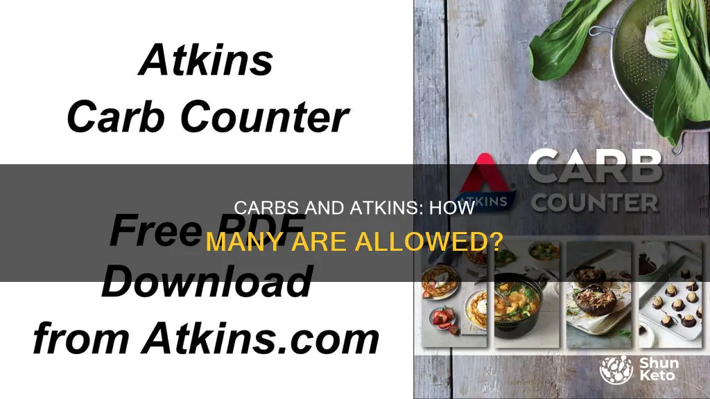 how many carbs does the atkins diet allow