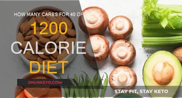 Carb Counting: 1200-Calorie Diet Breakdown