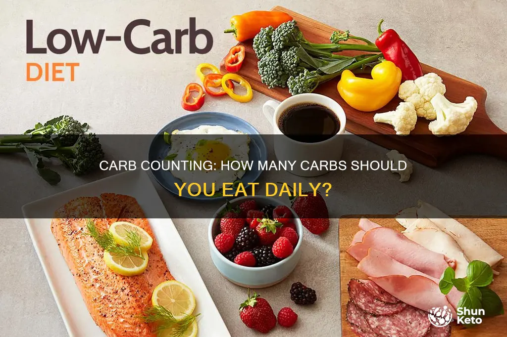 how many carbs for a diet