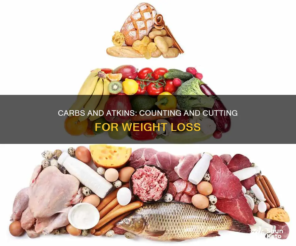 how many carbs for atkin diet