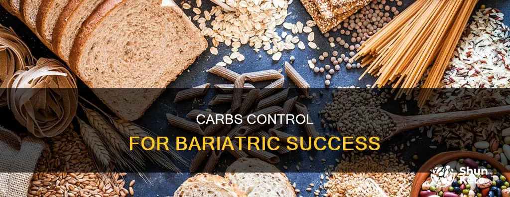 how many carbs for bariatrics lifetime diet