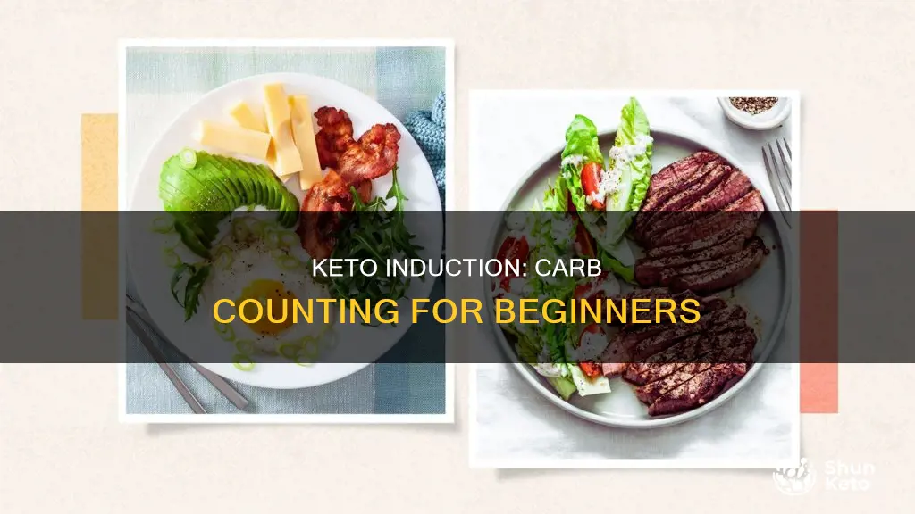 how many carbs for keto induction