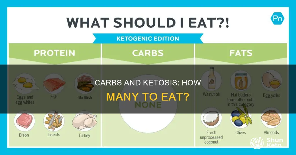 how many carbs for ketosis diet