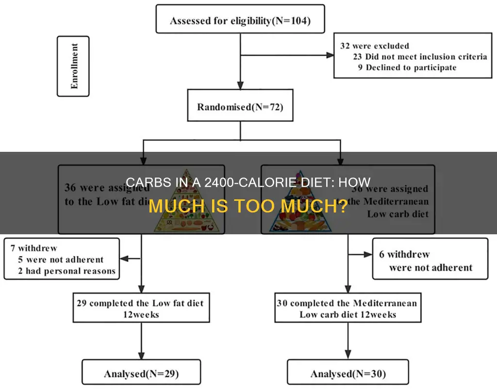 how many carbs in a 2400 calorie diet