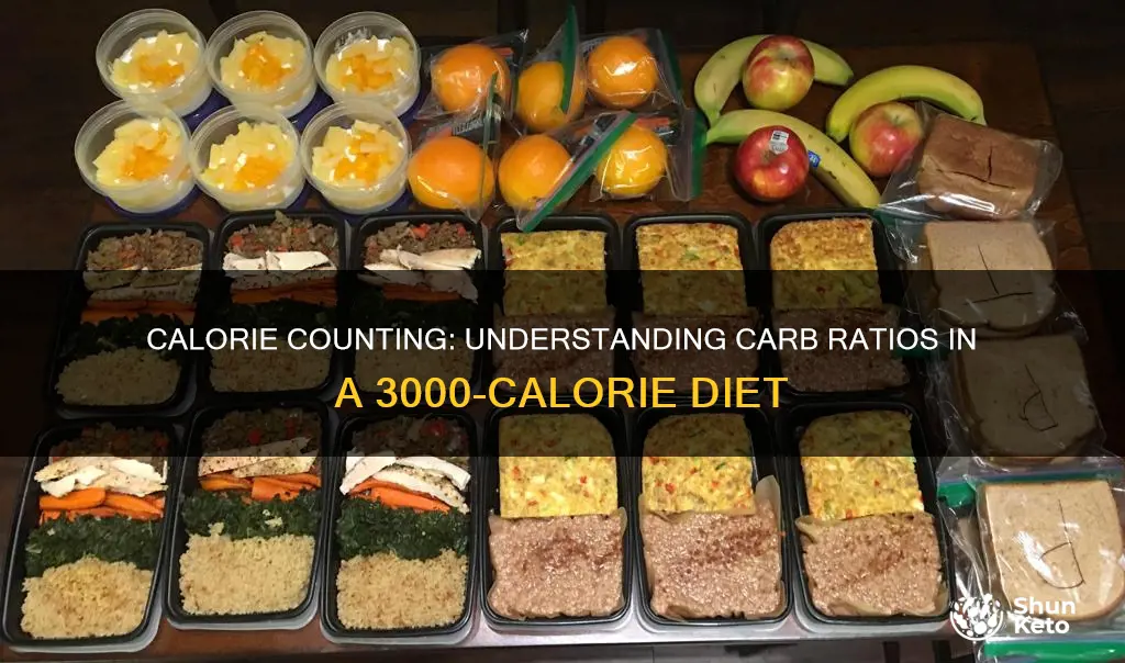 how many carbs in a 3 000 calorie diet