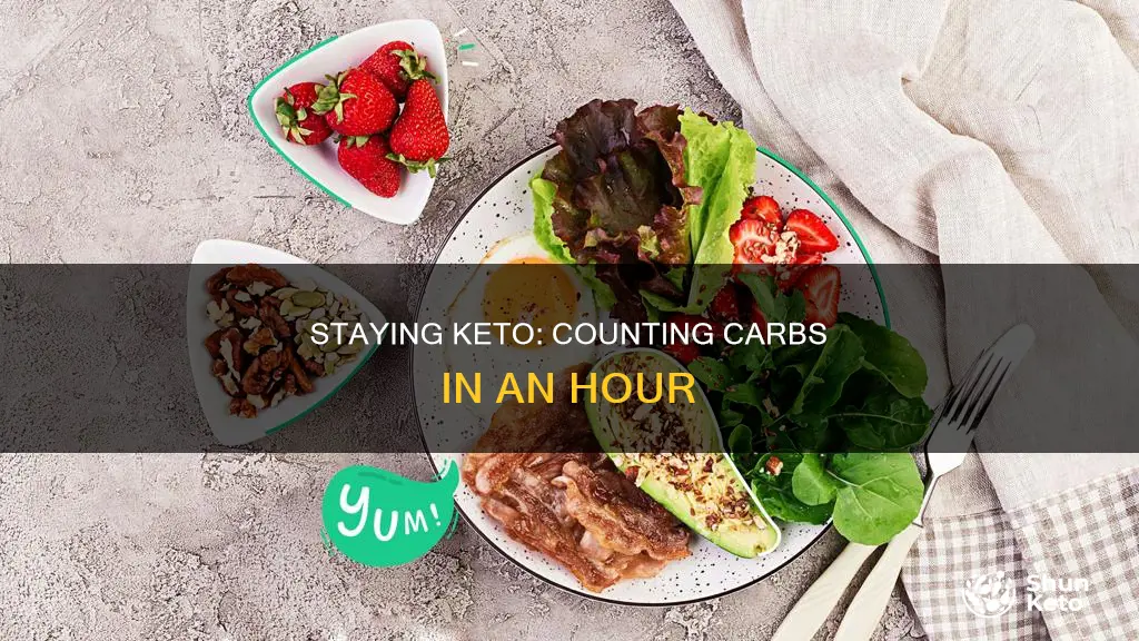 how many carbs in an hour on keto