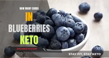 Blueberries on Keto: Carb Count and Nutrition Facts