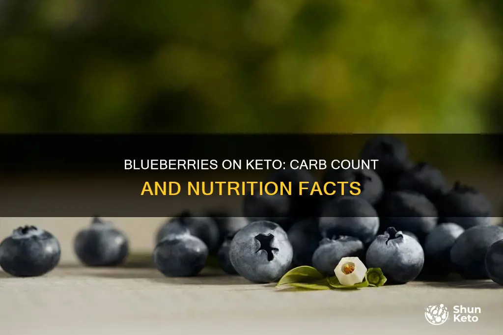 how many carbs in blueberries keto