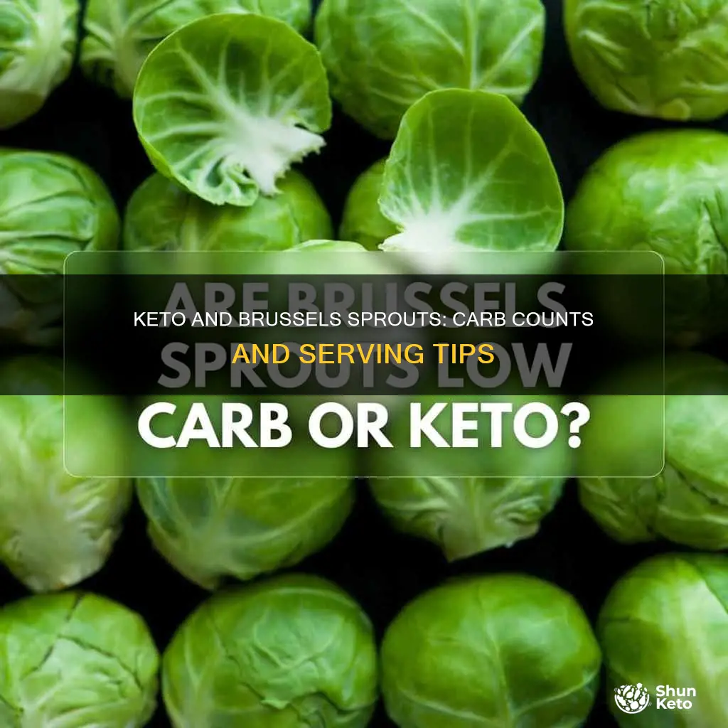 how many carbs in brussel sprouts keto