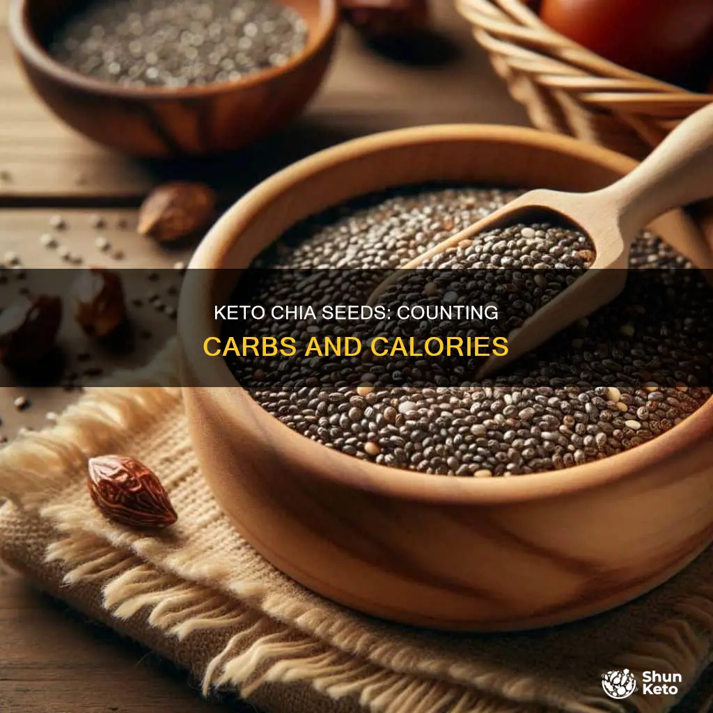 how many carbs in chia seeds keto