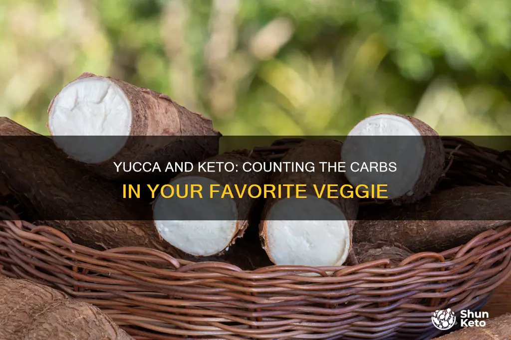 how many carbs in yucca keto