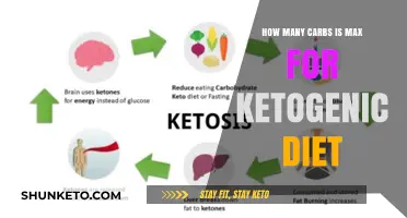 Carbs and Keto: How Many is Too Many?