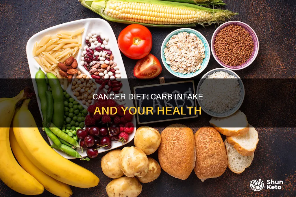 how many carbs on a after cancer diet per day