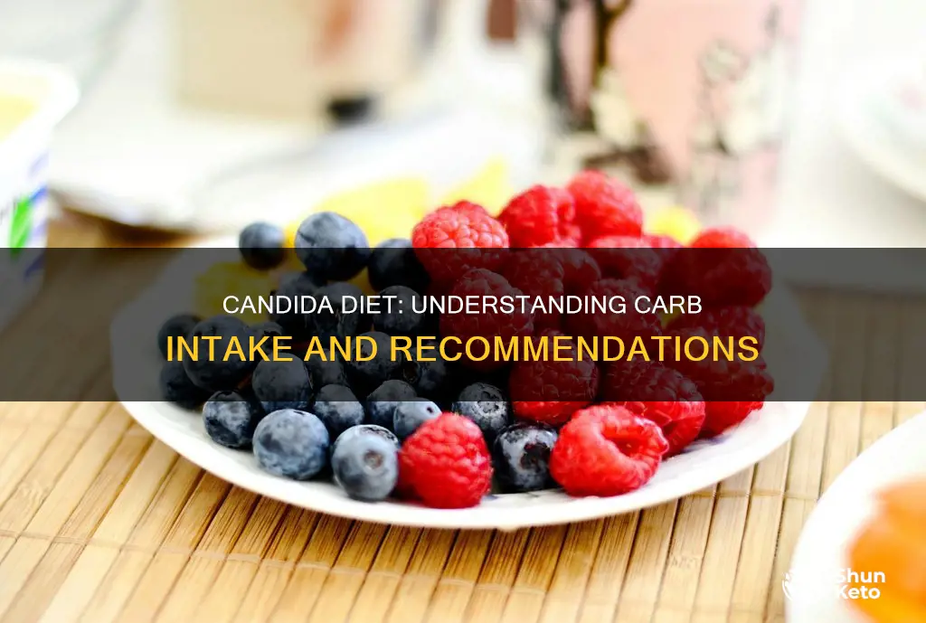 how many carbs on a candida diet