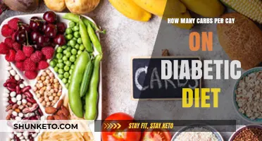 Carbs and Diabetes: Counting Your Daily Carb Allowance