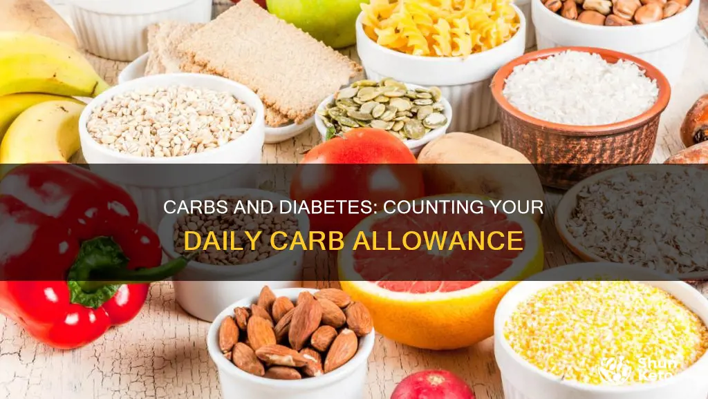 how many carbs per cay on diabetic diet