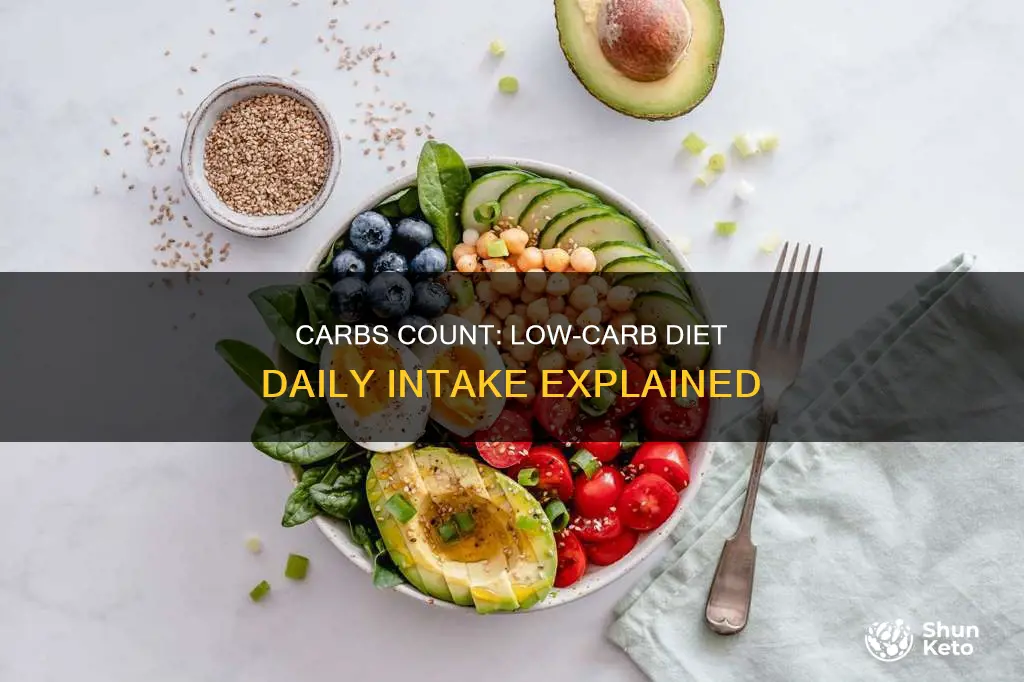 how many carbs per day in low carb diet