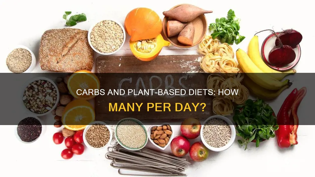 how many carbs per day on plant based diet