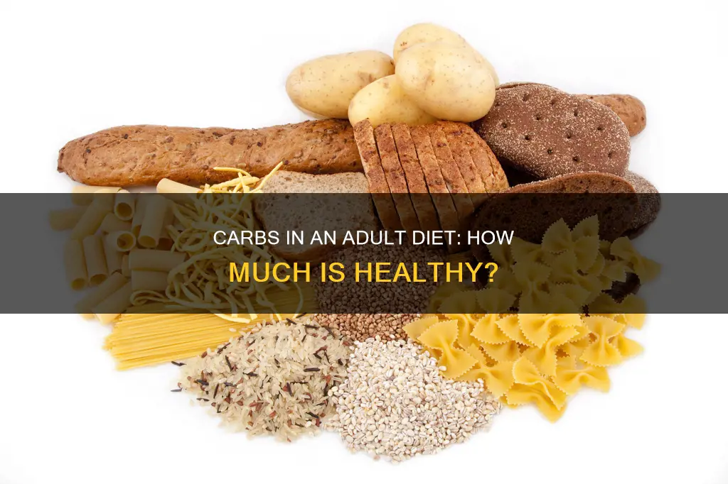 how many carbs should an adult have in their diet