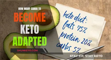 Keto Adaptation: Carb Counting for Beginners