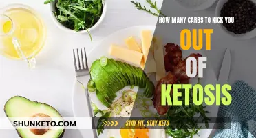 Carb Intake: Staying in Ketosis and Avoiding Ketosis Kick-Out