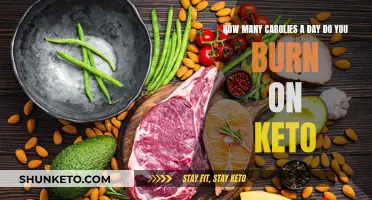 Burning Calories on Keto: How Many Is Enough?