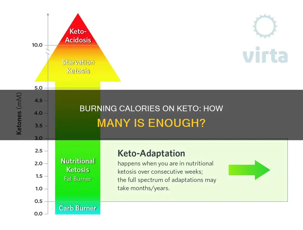 how many carolies a day do you burn on keto