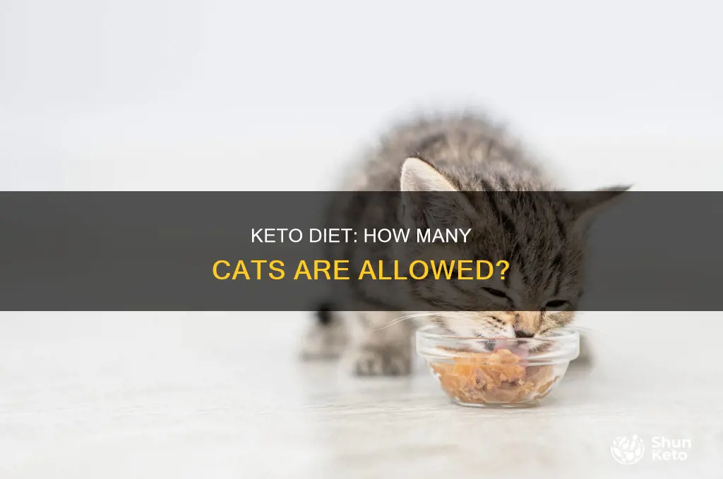 how many catns you allowed on keyo diet