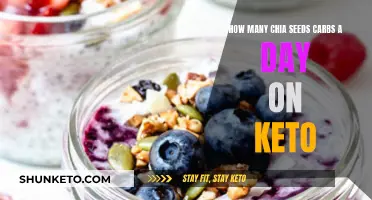 Keto Diet: Counting Chia Seeds Carb Intake Daily