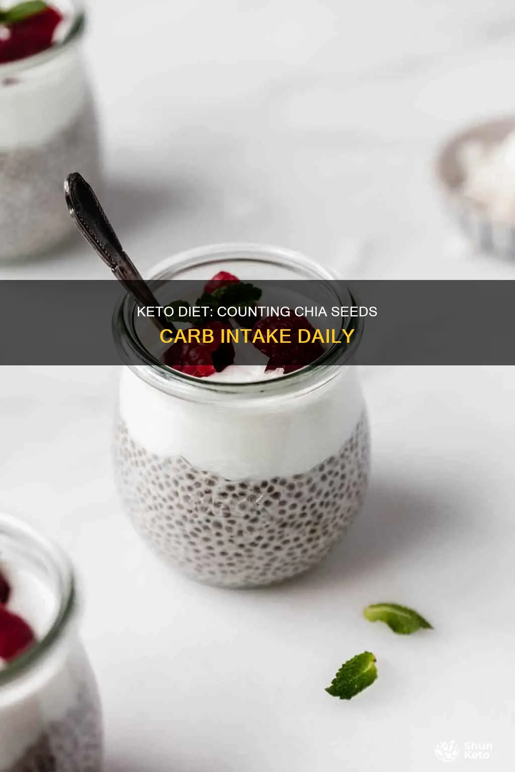 how many chia seeds carbs a day on keto