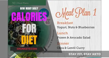 Calorie Counting: How Many Calories Should Your Daily Diet Be?