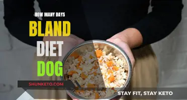 Bland Diet for Dogs: How Many Days?