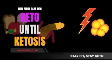 Keto Diet: When Does Ketosis Start?