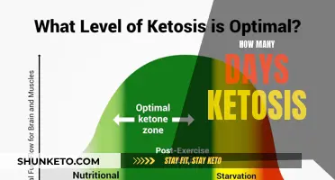 Time to Ketosis: How Many Days to Achieve It?