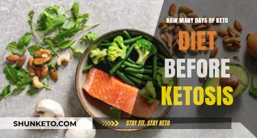 Keto Diet Timeline: When Does Ketosis Typically Begin?