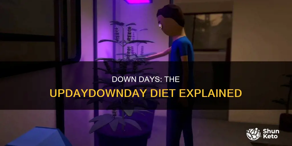 how many down days updaydownday diet
