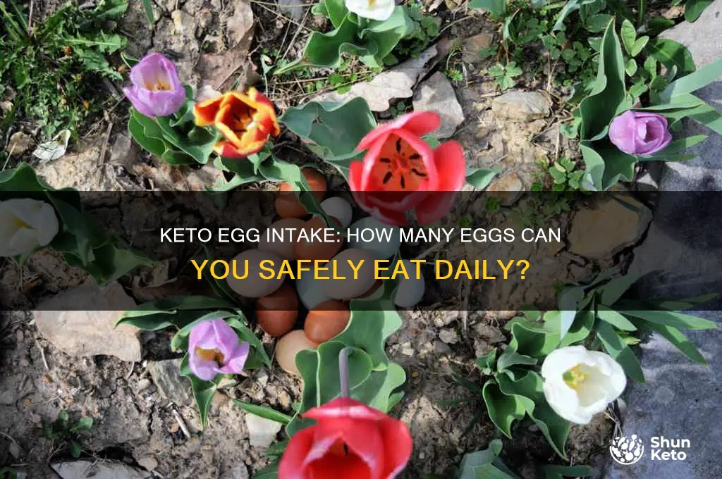 how many eggs a day can i eat on keto