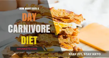 Eggs on a Carnivore Diet: How Many?
