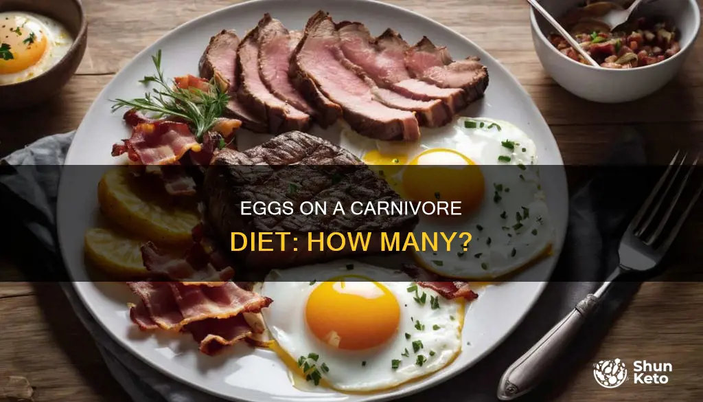 how many eggs a day carnivore diet