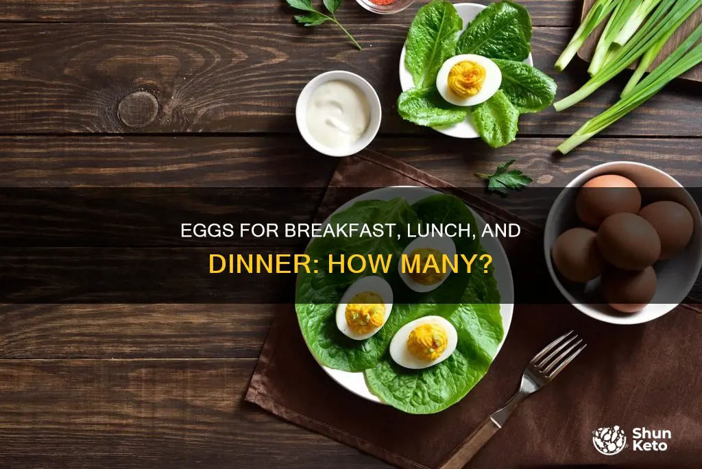 how many eggs a day on egg diet