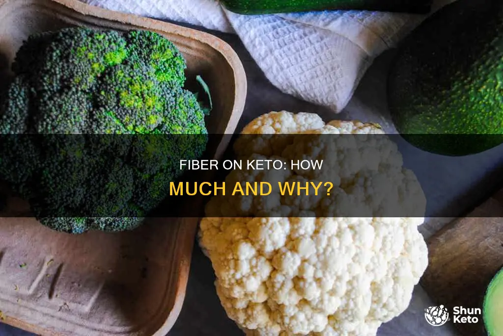 how many fiber should i have on ketogenic diet