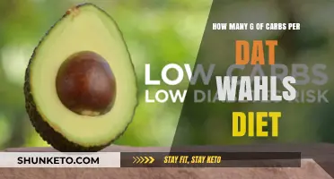 Carb Counting: Wahls Diet and Daily Intake