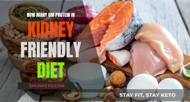 Protein Intake for Kidney Health: How Much is Safe?