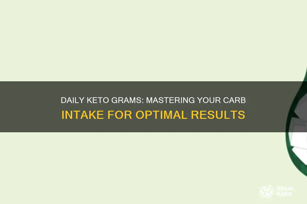 how many grams a day for keto diet