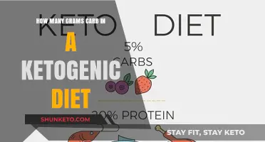 Carb Counting: Ketogenic Diet and Grams